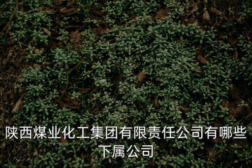 陜西煤業化工集團有限責任公司，陜西煤業化工集團有限責任公司什么級別