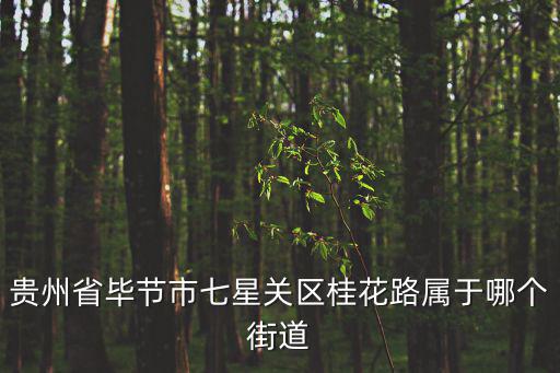 貴州省畢節市七星關區桂花路屬于哪個街道