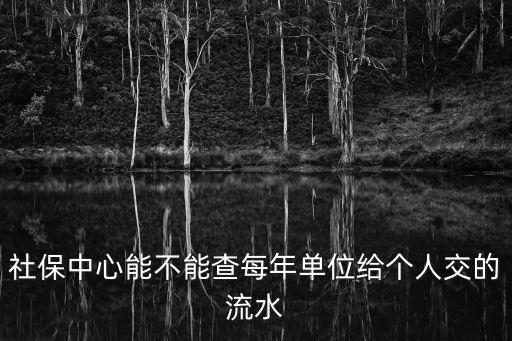 社保中心能不能查每年單位給個人交的流水