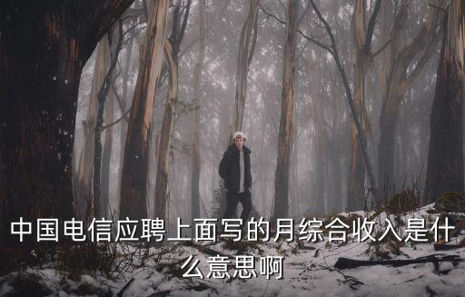 中國電信應(yīng)聘上面寫的月綜合收入是什么意思啊