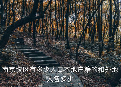 南京城區有多少人口本地戶籍的和外地人各多少