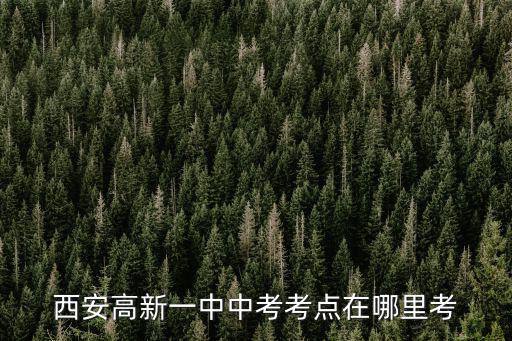 西安高新一中中考考點在哪里考