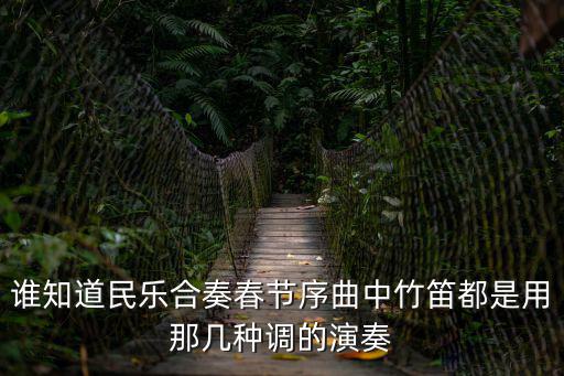 誰知道民樂合奏春節序曲中竹笛都是用那幾種調的演奏