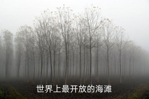 世界上最開放的海灘