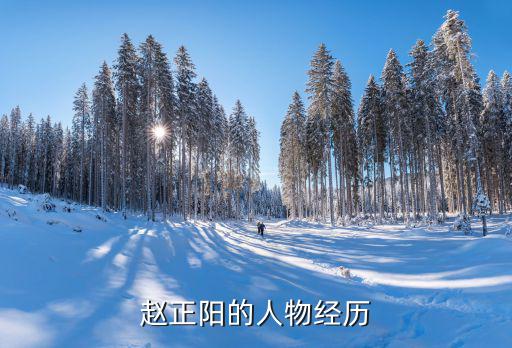 趙正陽的人物經歷