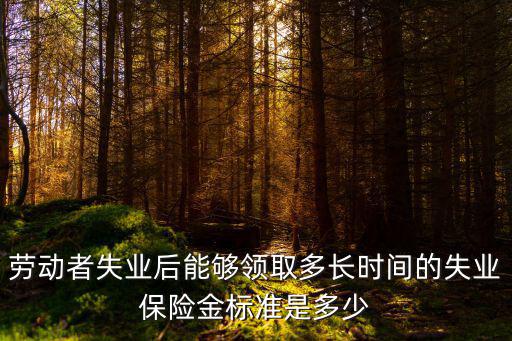 勞動者失業(yè)后能夠領(lǐng)取多長時間的失業(yè)保險金標準是多少