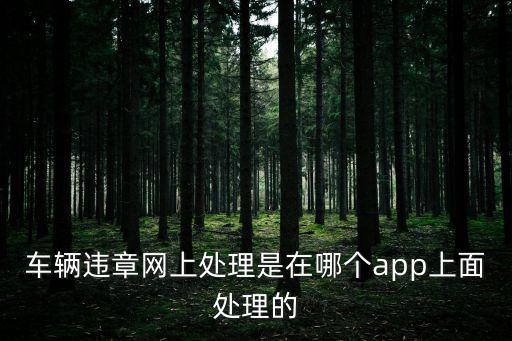 車輛違章網上處理是在哪個app上面處理的