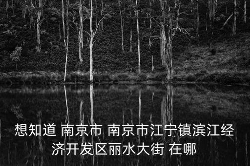想知道 南京市 南京市江寧鎮(zhèn)濱江經(jīng)濟開發(fā)區(qū)麗水大街 在哪