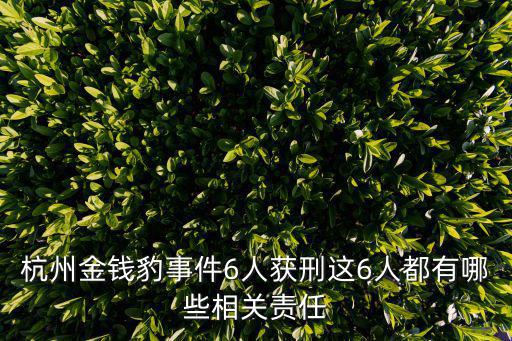杭州金錢豹事件6人獲刑這6人都有哪些相關責任
