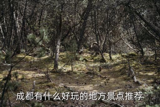 成都有什么好玩的地方景點(diǎn)推薦