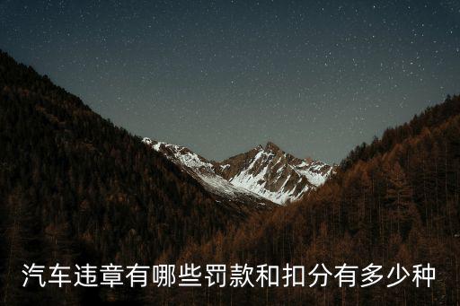汽車違章有哪些罰款和扣分有多少種