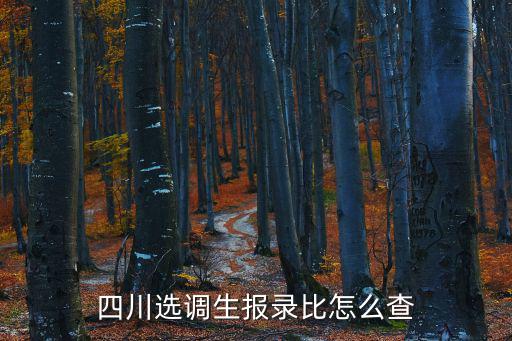 四川選調(diào)生報錄比怎么查