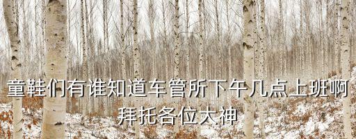 童鞋們有誰知道車管所下午幾點(diǎn)上班啊拜托各位大神