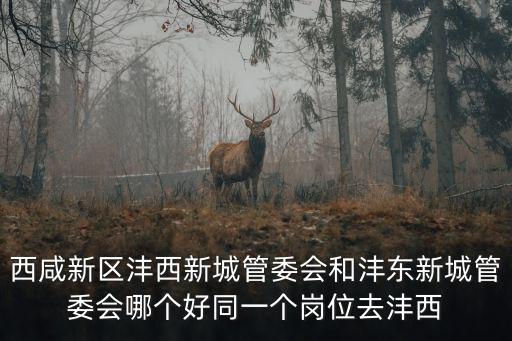 灃東管委會(huì)，西咸新區(qū)灃西新城管委會(huì)和灃東新城管委會(huì)哪個(gè)好同一個(gè)崗位去灃西