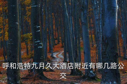 呼和浩特九月久大酒店附近有哪幾路公交