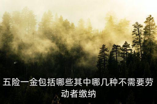 五險一金包括哪些其中哪幾種不需要勞動者繳納