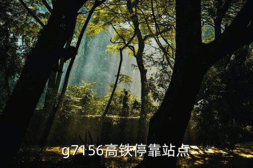 g7156高鐵?？空军c