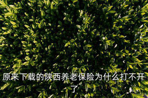 原來下載的陜西養老保險為什么打不開了