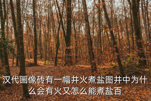 漢代畫像磚有一幅井火煮鹽圖井中為什么會有火又怎么能煮鹽百