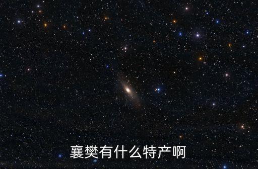 襄樊有什么特產啊