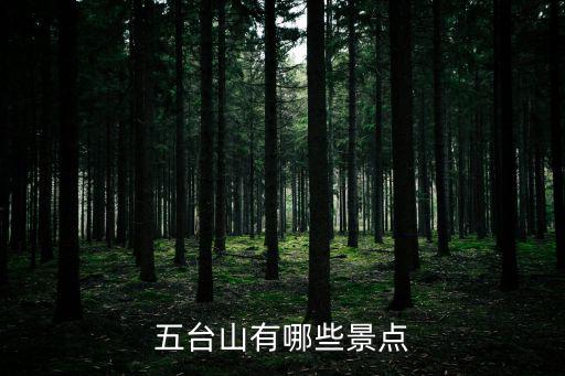 五臺山有哪些景點