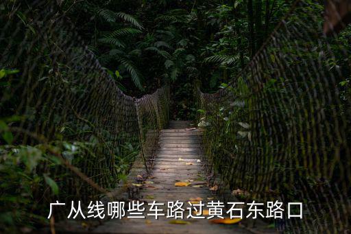 廣從，廣從線哪些車路過黃石東路口