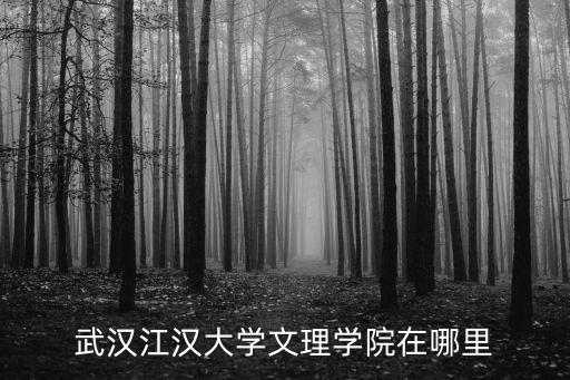 武漢江漢大學文理學院在哪里