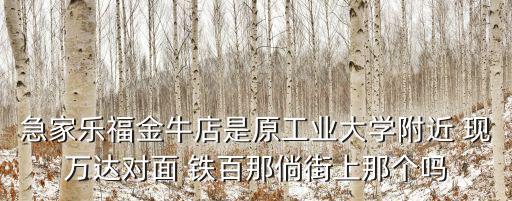 急家樂福金牛店是原工業大學附近 現萬達對面 鐵百那倘街上那個嗎