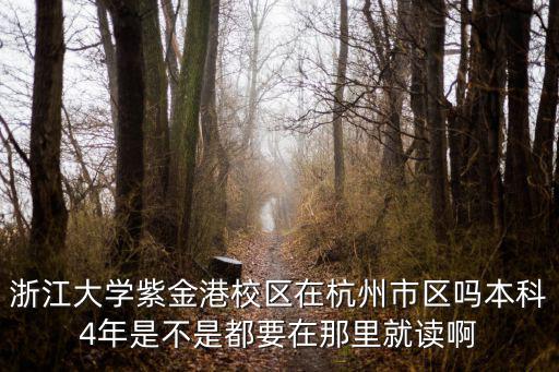 浙江大學紫金港校區在杭州市區嗎本科4年是不是都要在那里就讀啊