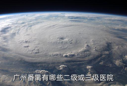 廣州番禺有哪些二級或三級醫院