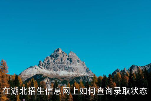 在湖北招生信息網(wǎng)上如何查詢錄取狀態(tài)