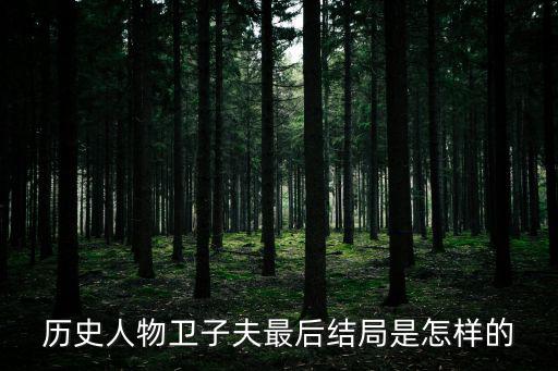 歷史人物衛(wèi)子夫最后結(jié)局是怎樣的