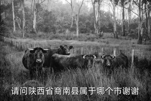請(qǐng)問陜西省商南縣屬于哪個(gè)市謝謝