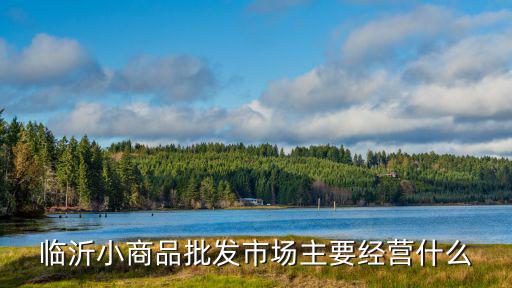 小商品批發(fā)城，臨沂小商品批發(fā)市場主要經(jīng)營什么
