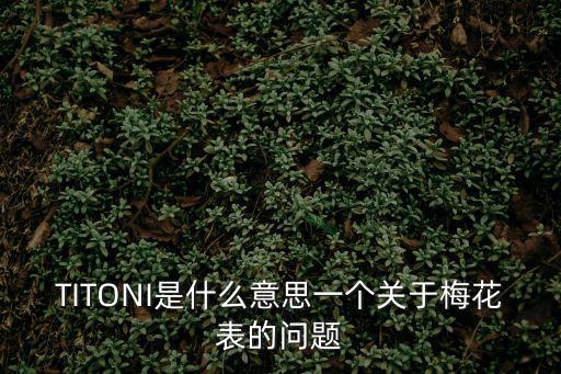 TITONI是什么意思一個(gè)關(guān)于梅花表的問(wèn)題