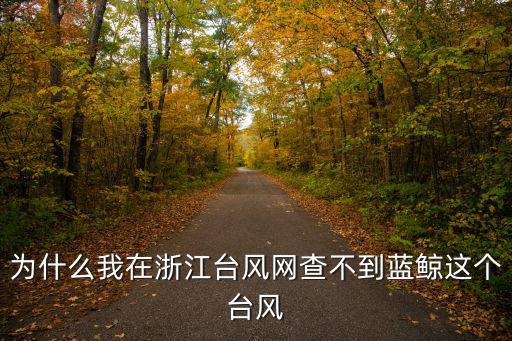 浙江臺風網，浙江臺風叫什么