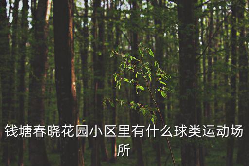 錢塘春曉花園小區里有什么球類運動場所