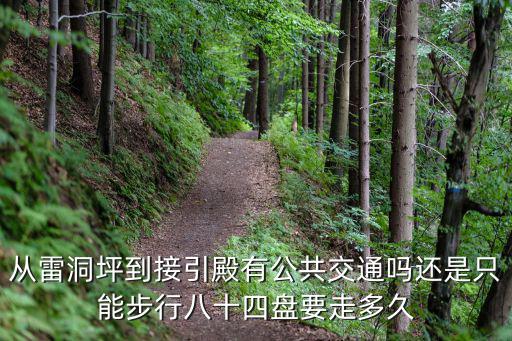 從雷洞坪到接引殿有公共交通嗎還是只能步行八十四盤要走多久