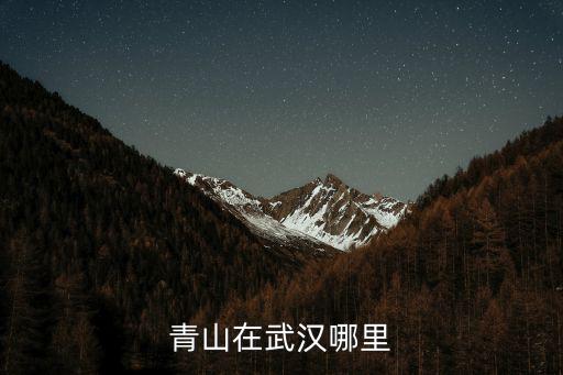 青山在武漢哪里