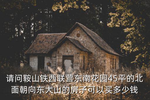 請問鞍山鐵西聯營東南花園45平的北面朝向東大山的房子可以買多少錢
