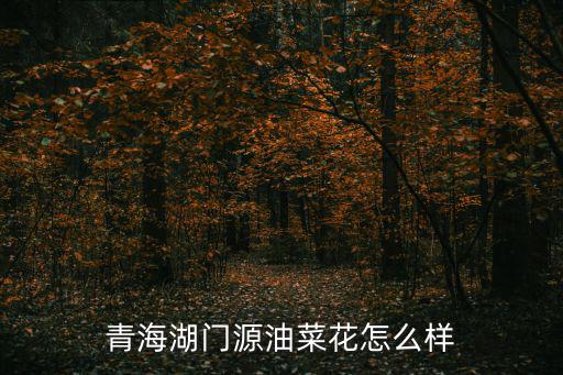 青海門源油菜花，青海湖門源油菜花怎么樣