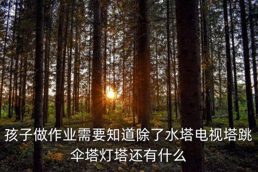 跳傘塔，孩子做作業需要知道除了水塔電視塔跳傘塔燈塔還有什么