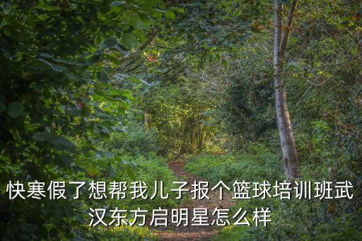 快寒假了想幫我兒子報個籃球培訓(xùn)班武漢東方啟明星怎么樣