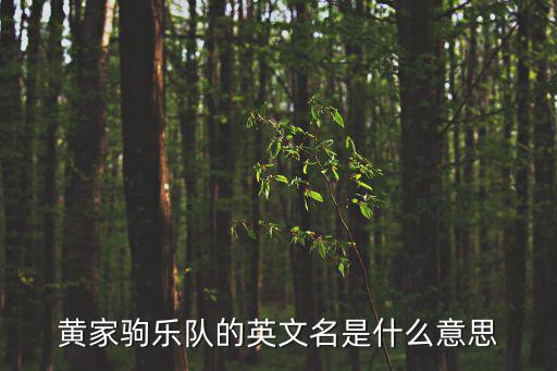 黃家駒樂隊的英文名是什么意思