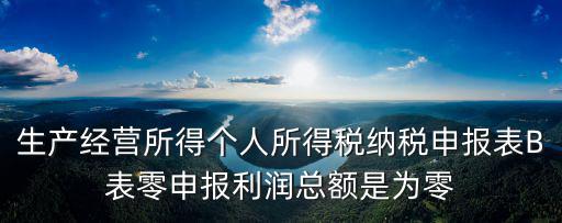 個人所得稅b表，企業個人所得稅ab類表的區別