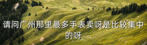 請問廣州那里最多手表賣呀是比較集中的呀