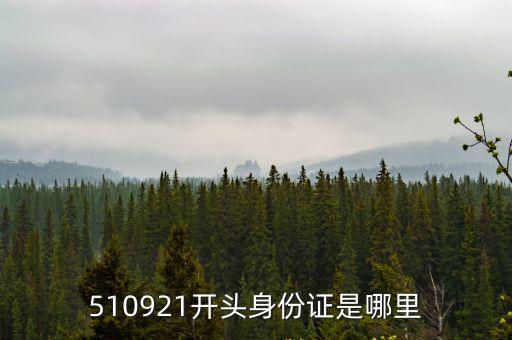 510921，聯想筆記本F31A和戴爾筆記本XPSM1330Q510921哪個更好些