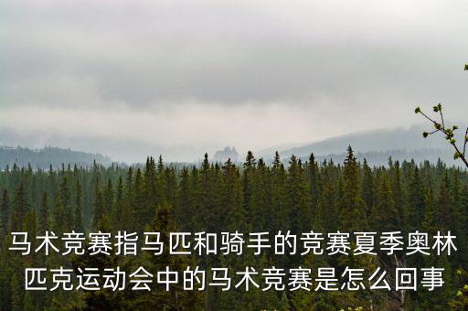 馬術競賽指馬匹和騎手的競賽夏季奧林匹克運動會中的馬術競賽是怎么回事