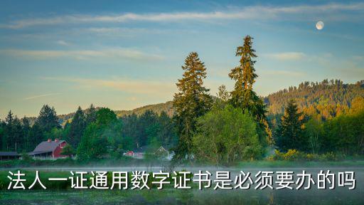 法人一證通用數字證書是必須要辦的嗎