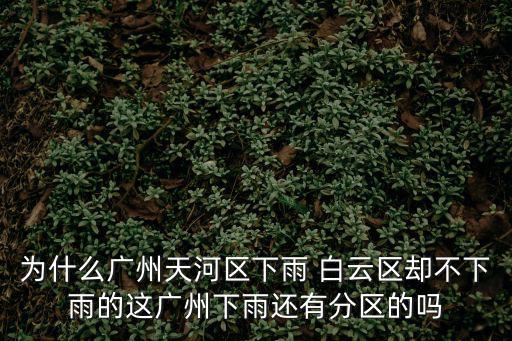 為什么廣州天河區(qū)下雨 白云區(qū)卻不下雨的這廣州下雨還有分區(qū)的嗎